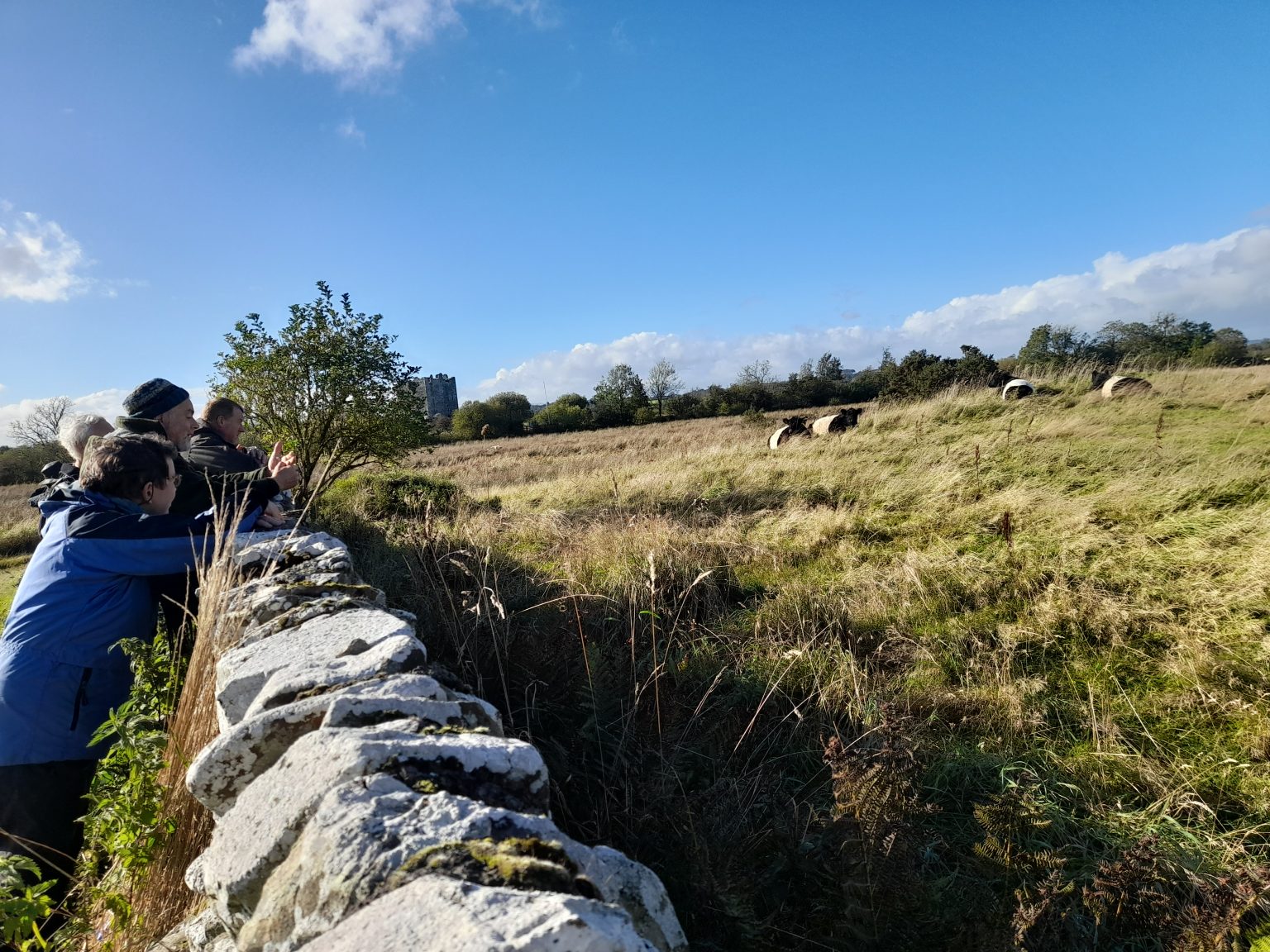 Video - Galloway And Southern Ayrshire Biosphere